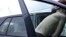 Calvo là một chịch n ...