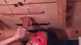 Tùy ý đi tiểu trong  ...