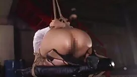 Ba vận động viên, tư ...