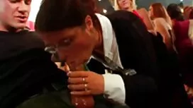 Ông đã dạy tôi cách  ...