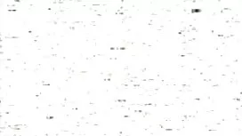 Whitney Wright đã qu ...