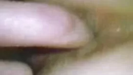 55 tuổi, gà chết tiệ ...