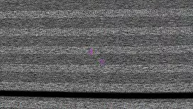 Tình clip sex dit nh ...