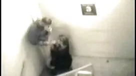 Có quan hệ tình dục. ...