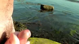 Cho thấy các khách d ...